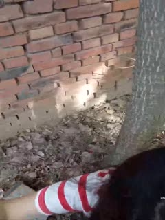 自拍炫耀大于认真吸屌先拍到完美为止才认真